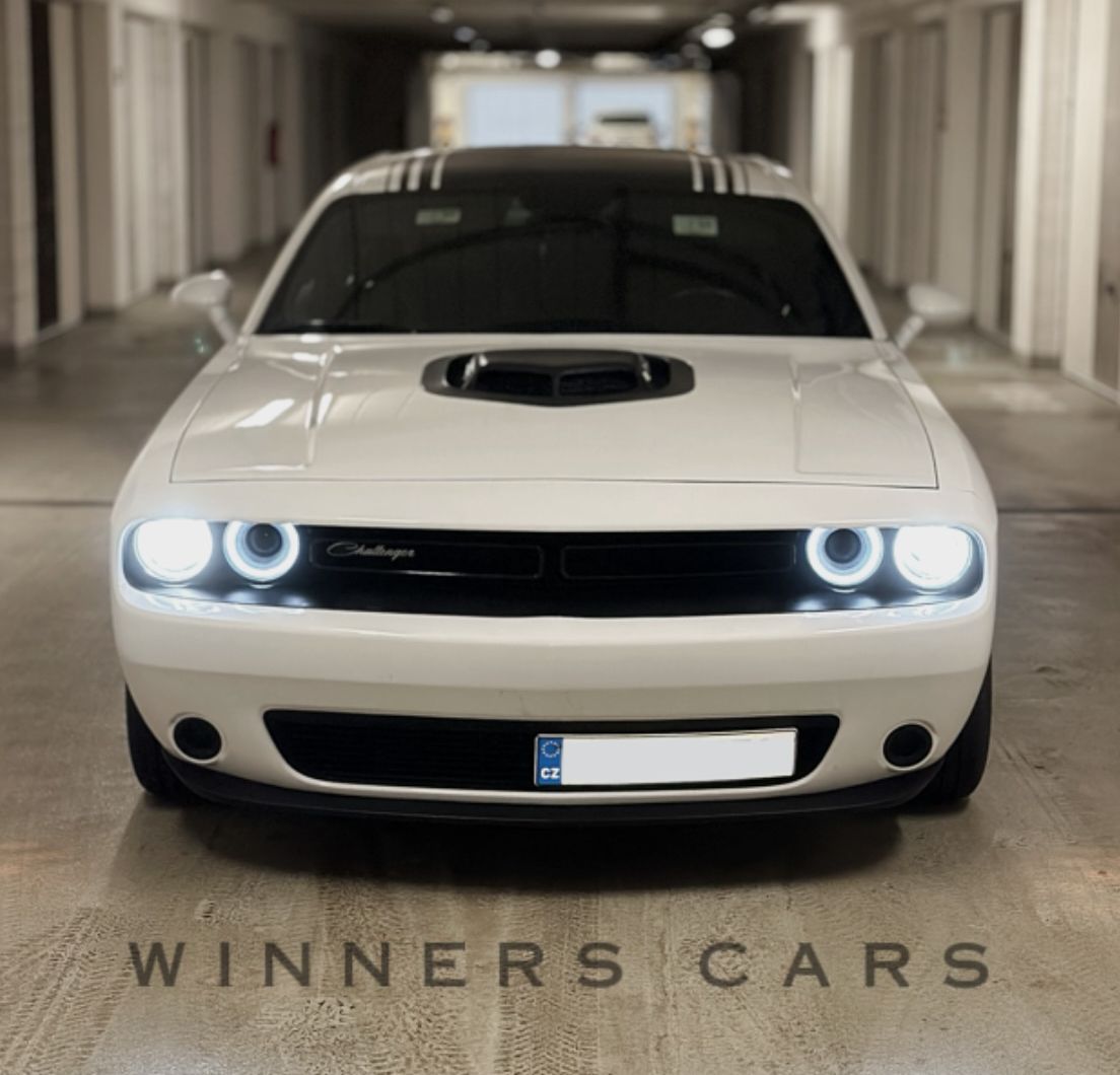 Dodge - Challenger